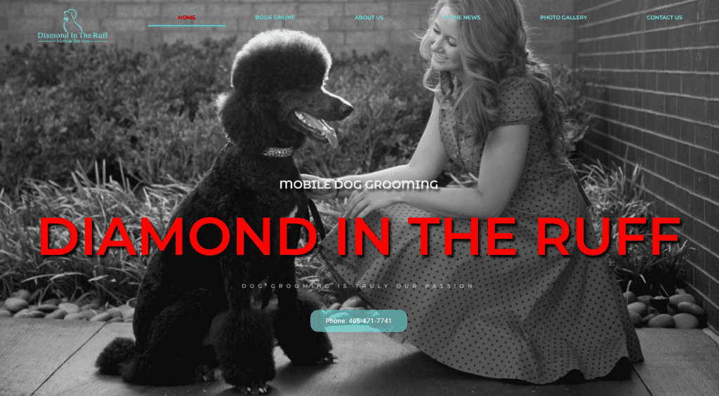 Mobile dog grooming website for Diamond In The Ruff Pet Spa.net built by Springboard Website Designs