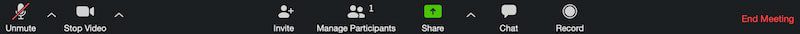 Zoom meeting settings bar showing the mute button per the zoom meeting tips guide