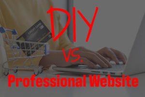 DIY-vs-Professional-Website-Which-is-Better-For-Your-Business